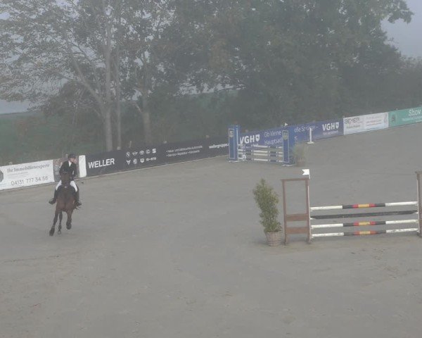 Reitturnier Scharnebeck 2024