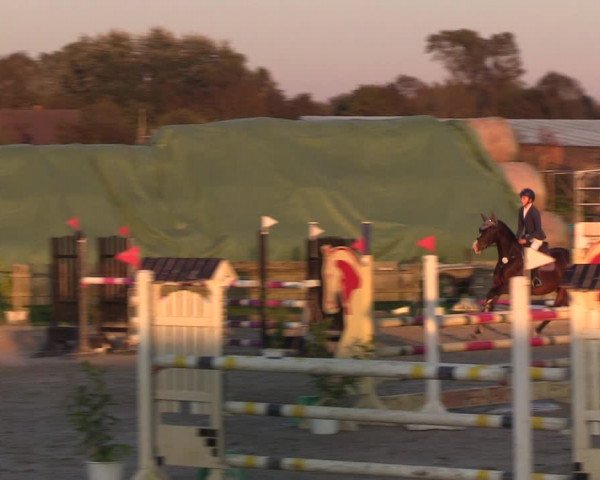 Reitturnier Schülp / Rendsburg 2021