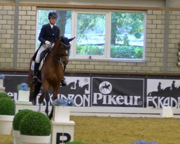 Reitturnier Bottrop-Kirchhellen 2024