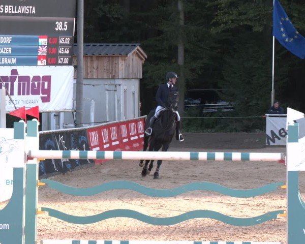 Reitturnier Ranshofen - Braunau am Inn 2024