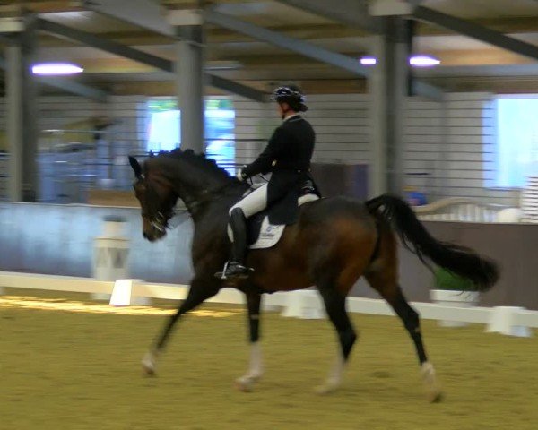 Reitturnier Bottrop-Kirchhellen 2024