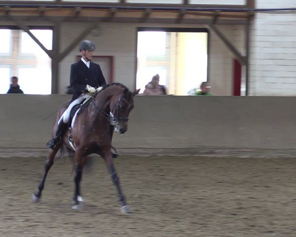 Reitturnier Kamen 2024
