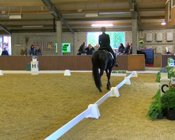 Reitturnier Bottrop-Kirchhellen 2024