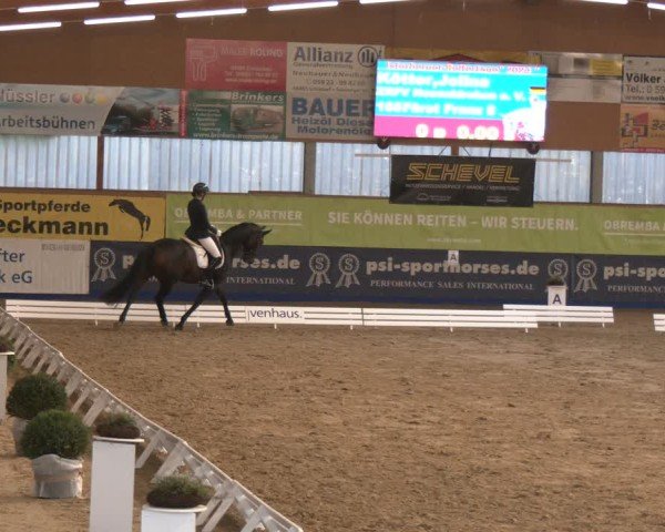 Reitturnier Isterberg 2024