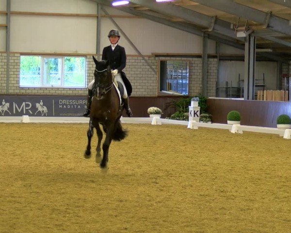 Reitturnier Bottrop-Kirchhellen 2024