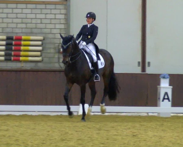 Reitturnier Bottrop-Kirchhellen 2024