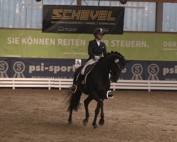 Reitturnier Isterberg 2024