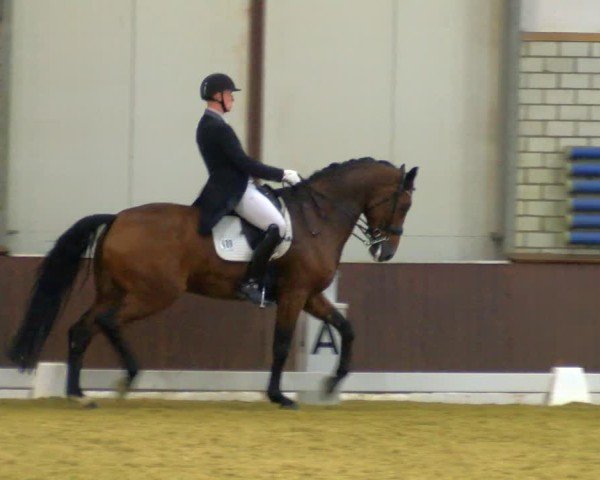 Reitturnier Bottrop-Kirchhellen 2024