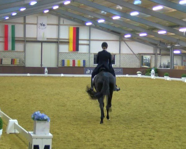 Reitturnier Bottrop-Kirchhellen 2024