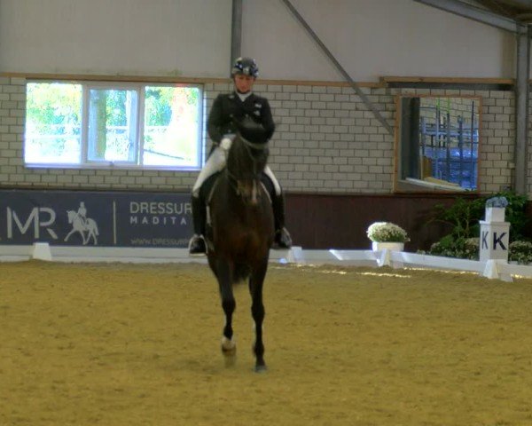 Reitturnier Bottrop-Kirchhellen 2024