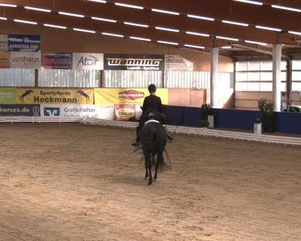 Reitturnier Isterberg 2024