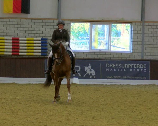 Reitturnier Bottrop-Kirchhellen 2024