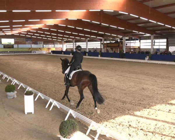 Reitturnier Isterberg 2024
