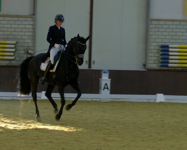 Reitturnier Bottrop-Kirchhellen 2024