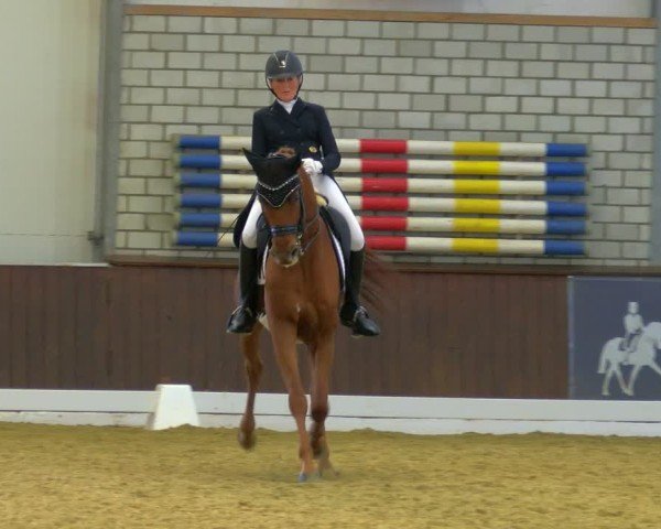 Reitturnier Bottrop-Kirchhellen 2024