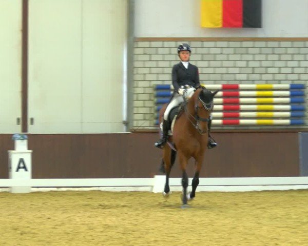 Reitturnier Bottrop-Kirchhellen 2024