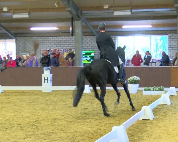 Reitturnier Bottrop-Kirchhellen 2024