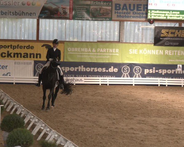 Reitturnier Isterberg 2024