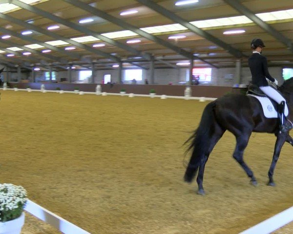Reitturnier Bottrop-Kirchhellen 2024