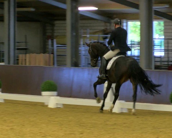 Reitturnier Bottrop-Kirchhellen 2024