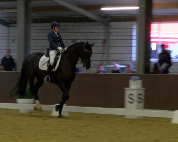 Reitturnier Bottrop-Kirchhellen 2024