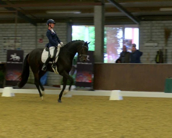 Reitturnier Bottrop-Kirchhellen 2024