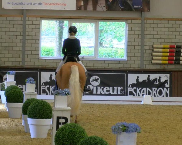 Reitturnier Bottrop-Kirchhellen 2024