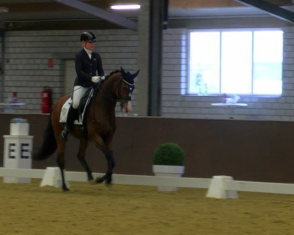 Reitturnier Bottrop-Kirchhellen 2024