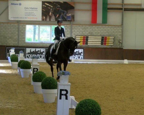 Reitturnier Bottrop-Kirchhellen 2024