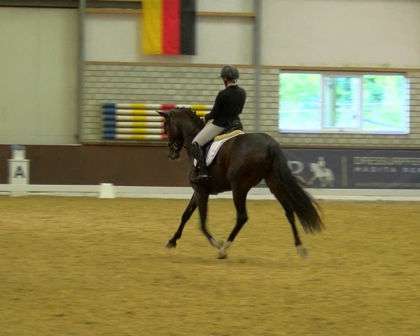 Reitturnier Bottrop-Kirchhellen 2024
