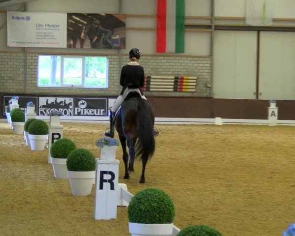 Reitturnier Bottrop-Kirchhellen 2024