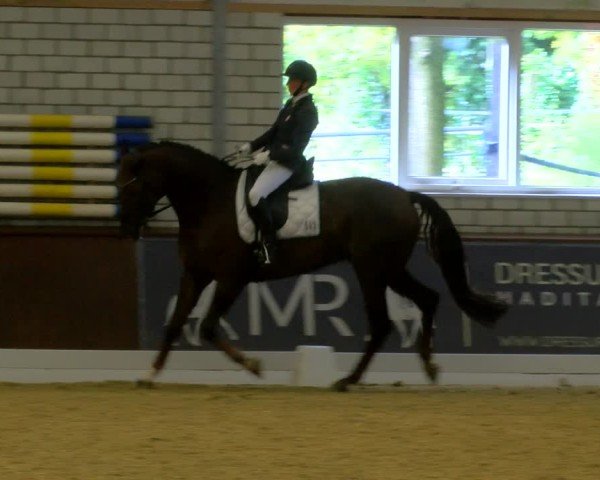 Reitturnier Bottrop-Kirchhellen 2024