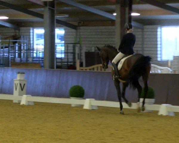 Reitturnier Bottrop-Kirchhellen 2024