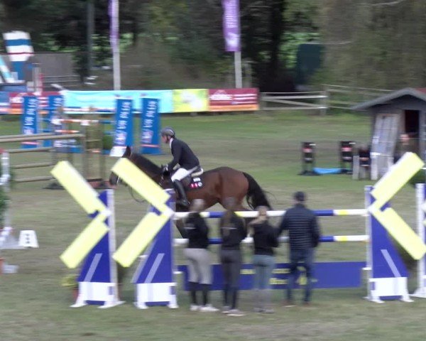 Reitturnier Scharnebeck 2024