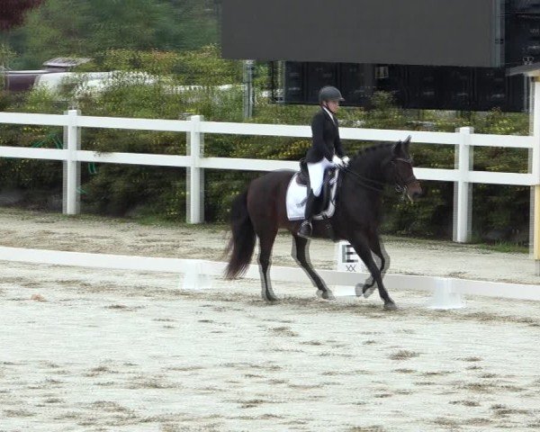 Reitturnier St. Margarethen 2024