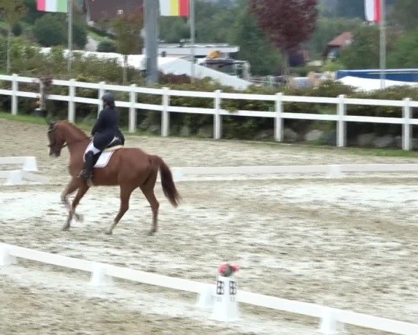 Reitturnier St. Margarethen 2024