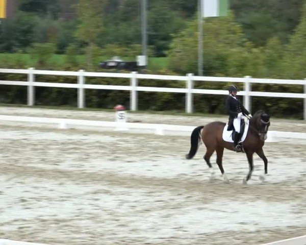 Reitturnier St. Margarethen 2024