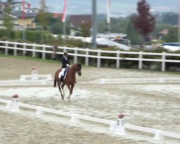 Reitturnier St. Margarethen 2024