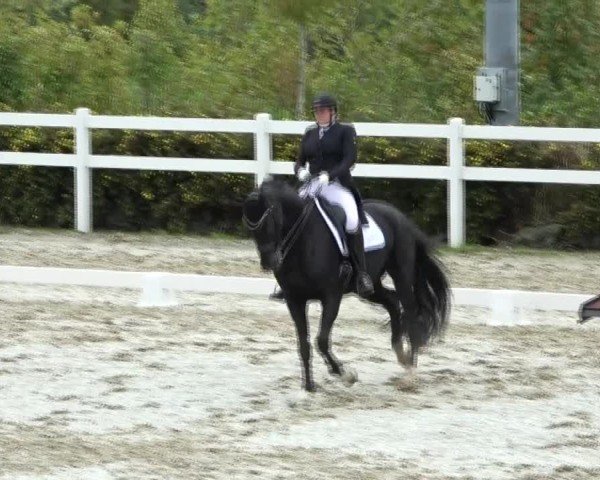 Reitturnier St. Margarethen 2024
