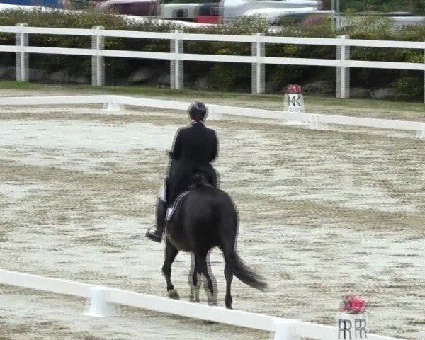 Reitturnier St. Margarethen 2024