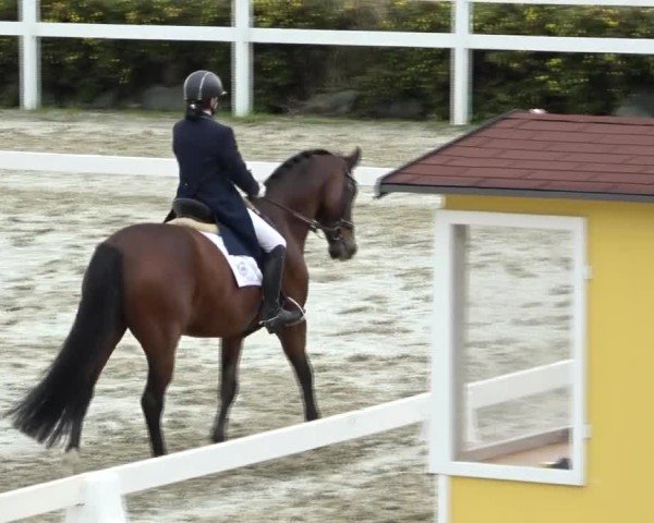 Reitturnier St. Margarethen 2024