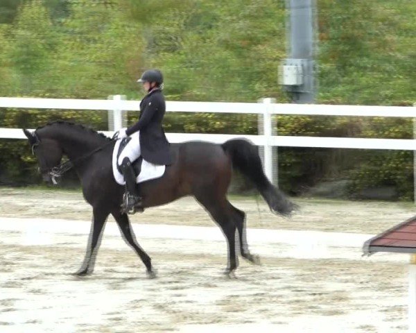 Reitturnier St. Margarethen 2024