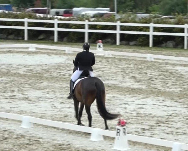 Reitturnier St. Margarethen 2024