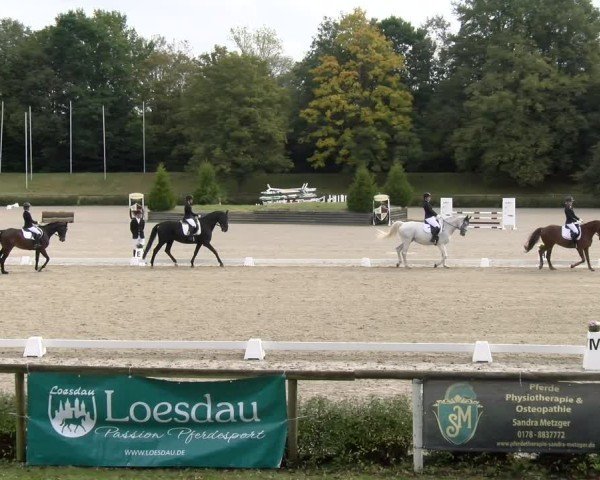 Reitturnier Tübingen 2024