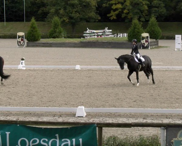 Reitturnier Tübingen 2024