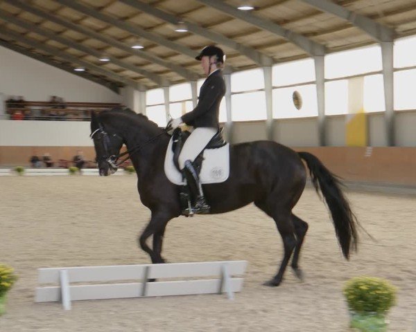 Reitturnier Frechen-Grefrath - Sonnenhof 2024