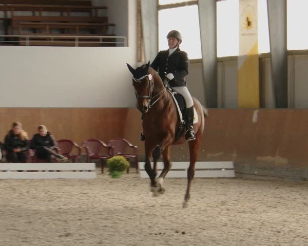 Reitturnier Frechen-Grefrath - Sonnenhof 2024