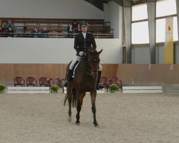 Reitturnier Frechen-Grefrath - Sonnenhof 2024