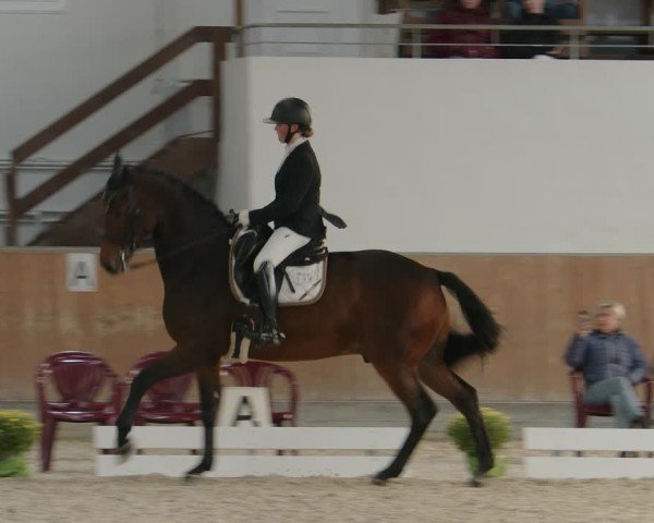 Reitturnier Frechen-Grefrath - Sonnenhof 2024