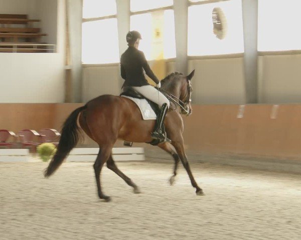 Reitturnier Frechen-Grefrath - Sonnenhof 2024